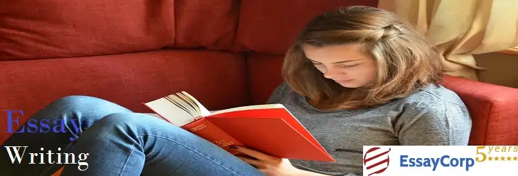 Affordable and Top-Notch Assignment Writing Services by Experts