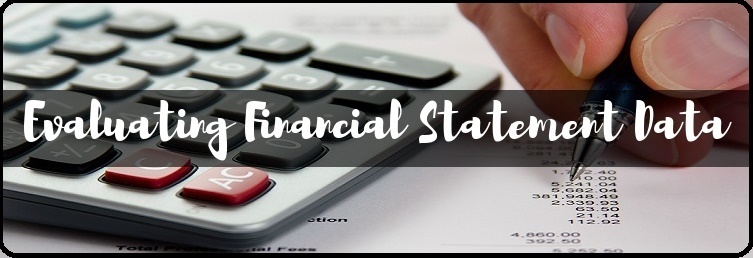 Evaluating Financial Statement Data 