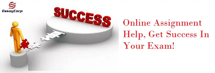 Get assured instant online assignment help