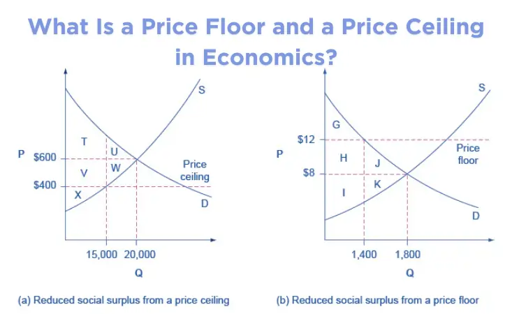 What Is a Price Floor and a Price Ceiling in Economics?