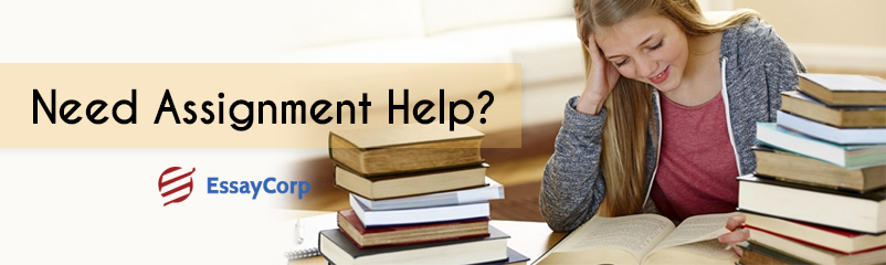 Seek Assignment Help Services and Yield Excellence
