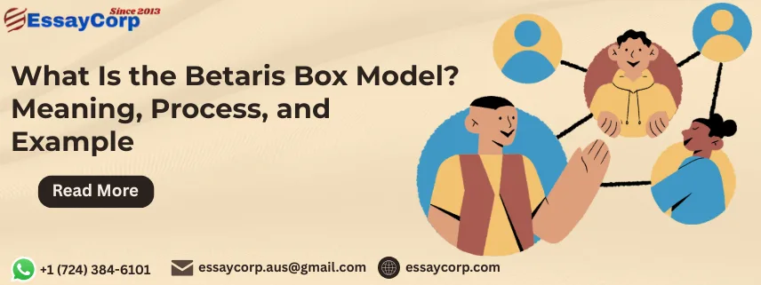 What Is the Betaris Box Model? Meaning, Process, and Example