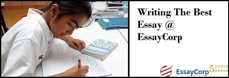  Essay Writing in Academics 