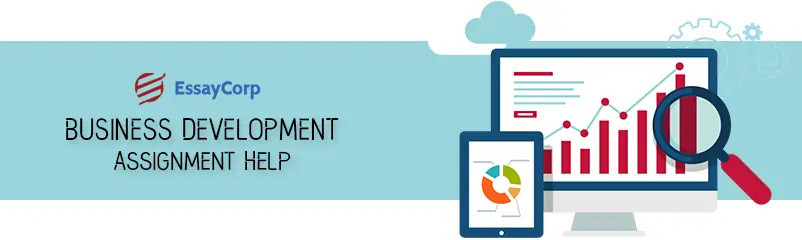Business Development Assignment