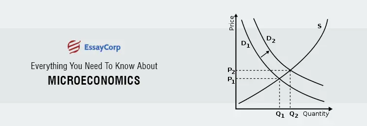 Everything You Need To Know About Microeconomics With Examples