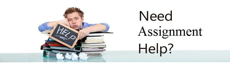 Why Students Need Assignment Help